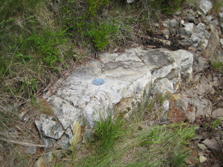 Eyelevel view of the disk in rock ledge. Watch for ants!!!