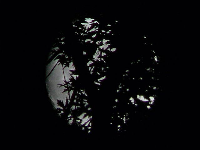 Hidden by trees, the nearly-full moon presented a challenge.  We were able to record some texture along the left edge.