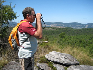 Rich scans the horizon.