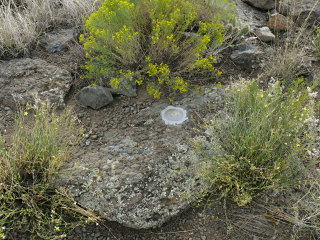 Eyelevel view of the disk set in the rock outcrop.