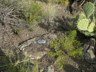 Eyelevel view of reference mark disk in rock outcrop.