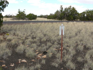 Looking N toward the Loop Road.