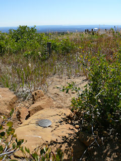 Looking SSW toward the lookout platform.