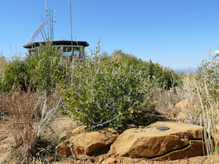 Looking back toward the fire lookout station.