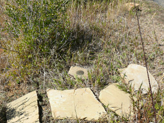 Eyelevel view of the disk set into concrete post.