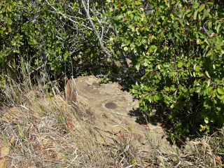 Eyelevel view of the disk in the rock walkway.