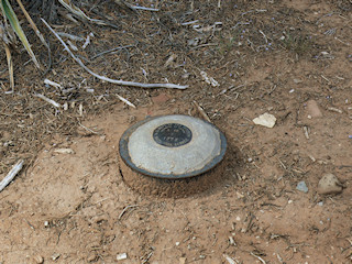 Eyelevel view of the disk in concrete.