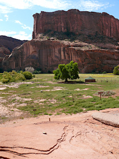 Looking S toward hogan and large rock formation beyond.