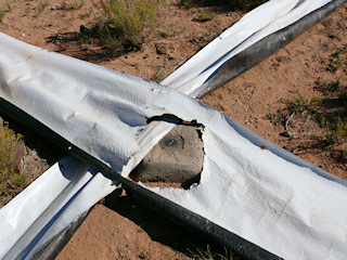 Eyelevel view of the reference mark disk in the concrete monument.