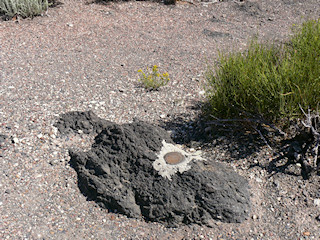 Eyelevel view of the benchmark disk in the outcropping.