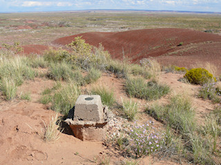 Looking out over the Painted Desert.