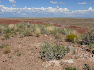 This beautiful, isolated spot was perfect for a triangulation station hunt.