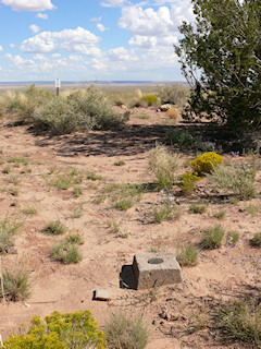 Looking SE toward the witness post and station mark.