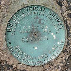 USGS Transit Traverse Station Disk TT 24 A USGS 1942