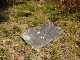 Eyelevel view of the disk set in the concrete step.