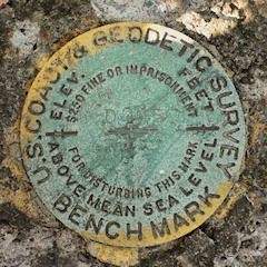 NGS Bench Mark Disk D 255