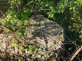 Eyelevel view of the disk set into the concrete wingwall.