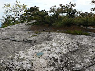 Looking SW toward the station mark.