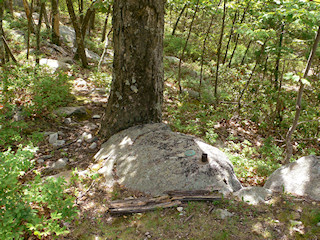 Looking from the trail toward the boulder with station disk.