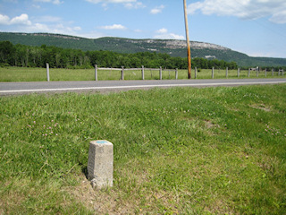 Looking W across Bruynswick Road toward Millbrook Mountain.