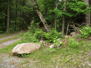 Another view from the road, looking toward the driveway near the mark.