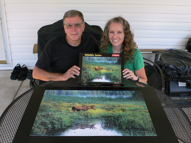 A lone moose wades in a marsh in this colorful puzzle.