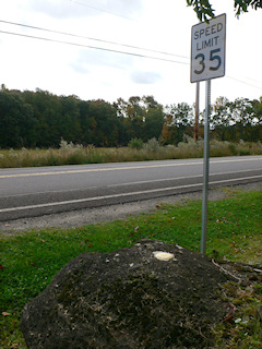 Looking SE toward Cortez Rd.