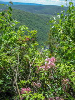 A slightly different view from the overlook