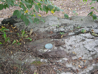 Eyelevel view of the disk set into the boulder.