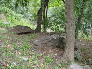 The boulder as I saw it when walking up the driveway.