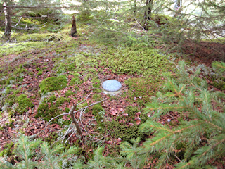 Eyelevel view of the disk set into the rock outcrop.