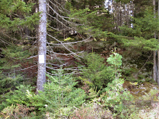 A standard USGS witness sign marking the general area of the station is visible from the road.