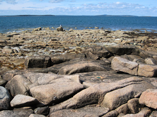 Looking approximately NNW from the mark. The seagull on the distant rock was watching me!