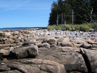 Looking SE, back toward the forested shoreline.