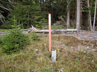 Eyelevel view of the disk set into the granite post, with witness post behind.