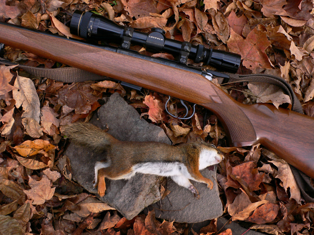 Rich's first squirrel of the season!