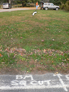 Looking NNW from Route 438 toward the chiseled square. BM SQ CUT painted on road.