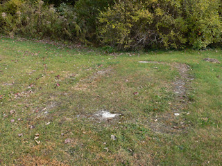 There seems to be a rectangular impression in the grass; perhaps a small stand or shed once stood here?