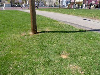 Eyelevel view of the mark set in the monument flush with the ground.