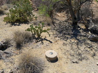 Eyelevel view of the disk on the round concrete monument.