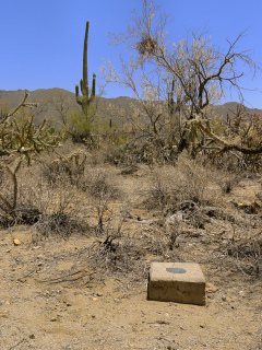 View of the general area, facing SE.