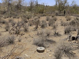 A cactus forest surrounds the monument.