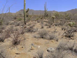 Looking ESE; concrete that once held the witness post is visible.