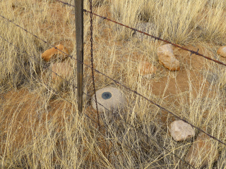 Eyelevel view of the disk just inside the fenceline.