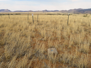 Looking ENE toward the fenceline