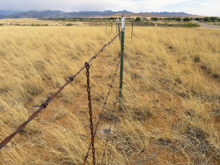 Looking S along the fenceline