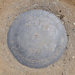 AZDOT Survey Mark CACTUS