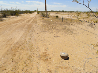 Looking SE along the fenceline toward the station