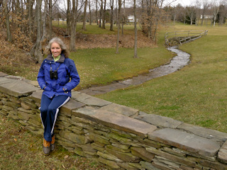 The stream flows down from the waterfall and passes beneath the wide stone bridge.