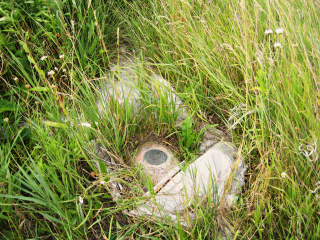 Eyelevel view of the disk in the rock outcrop.